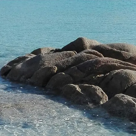 Nyaraló Antonella *