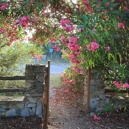 Antonella Σπίτι διακοπών Villasimius