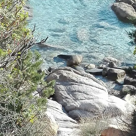 Antonella Villasimius